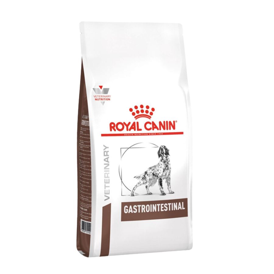 Royal Canin Gastrointestinal Perro 10 kg, vista frontal del saco de dieta veterinaria digestiva para perros