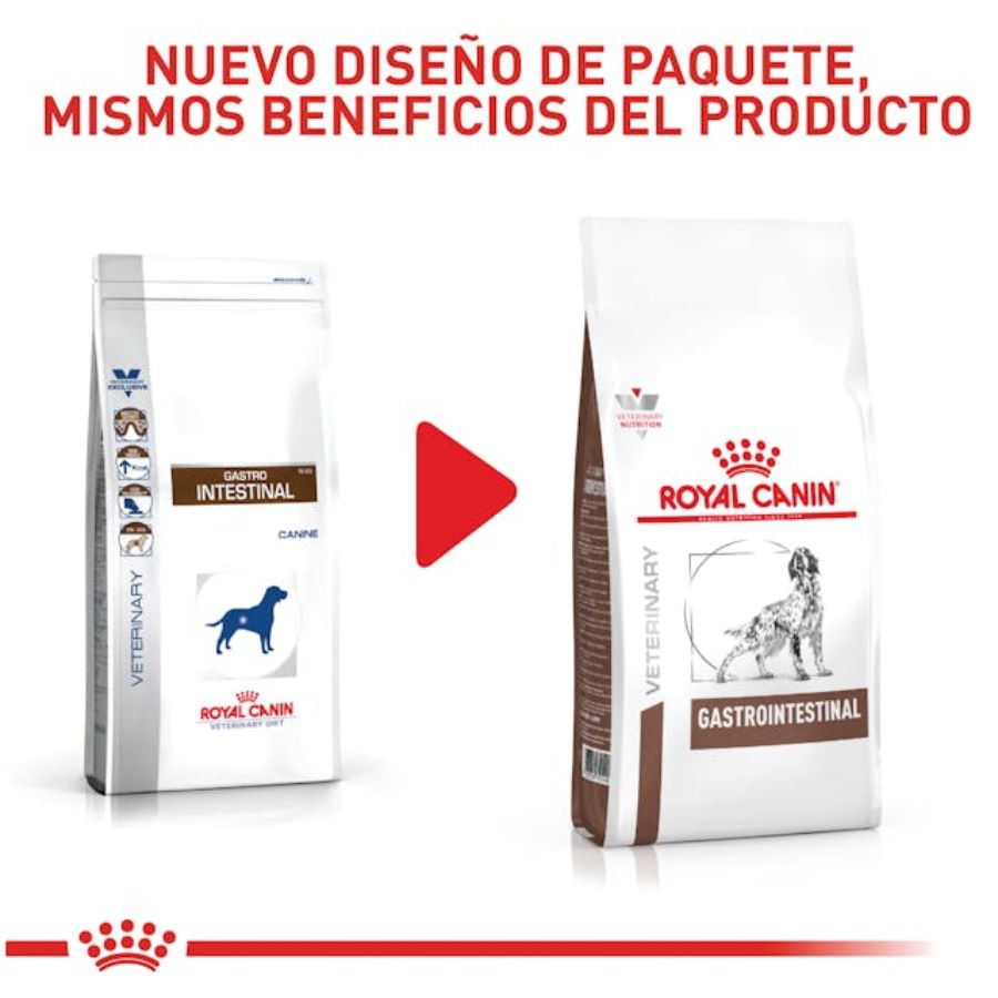 Royal Canin Gastrointestinal Perro 2Kg, formulado para reducir problemas de absorción intestinal y promover la recuperación nutricional. Alta palatabilidad y energía.