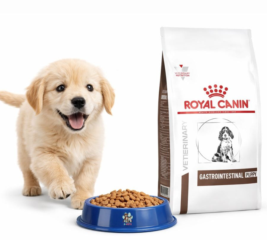 Royal Canin Gastrointestinal Puppy 1kg, alta digestibilidad y soporte digestivo, ideal para cachorros en crecimiento con sensibilidad gastrointestinal.