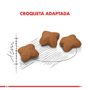 Royal Canin Kitten Sterilised 4kg: Alimento diseñado para gatitos esterilizados, equilibra las necesidades nutricionales con control de peso para un desarrollo saludable. 