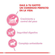 Royal Canin Kitten Sterilised 4kg: Alimento diseñado para gatitos esterilizados, equilibra las necesidades nutricionales con control de peso para un desarrollo saludable. 
