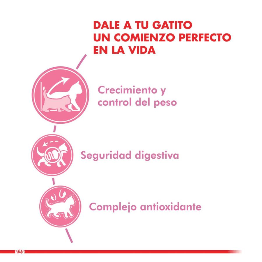 Royal Canin Kitten Sterilised 4kg: Alimento diseñado para gatitos esterilizados, equilibra las necesidades nutricionales con control de peso para un desarrollo saludable. 