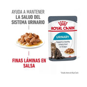 Royal Canin Gato Urinary Care Pouch 85g, alimento húmedo que promueve un tracto urinario saludable. Textura en salsa, alta palatabilidad y eficacia comprobada.