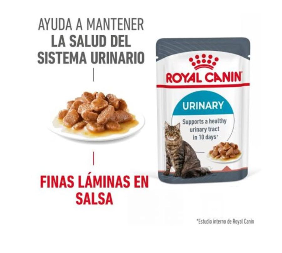Royal Canin Gato Urinary Care Pouch 85g, alimento húmedo que promueve un tracto urinario saludable. Textura en salsa, alta palatabilidad y eficacia comprobada.