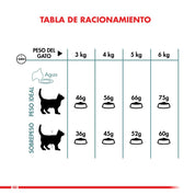 Royal Canin Hairball Care: Alimento para gatos adultos, reduce la formación de bolas de pelo y estimula el tránsito intestinal. Salud urinaria equilibrada. 