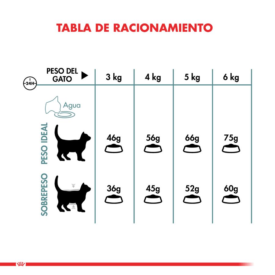 Royal Canin Hairball Care: Alimento para gatos adultos, reduce la formación de bolas de pelo y estimula el tránsito intestinal. Salud urinaria equilibrada. 