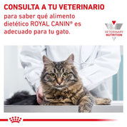 Royal Canin Hypoallergenic Gato 1,5Kg, alimento dietético para gatos con alergias. Promueve la salud cutánea y digestiva.