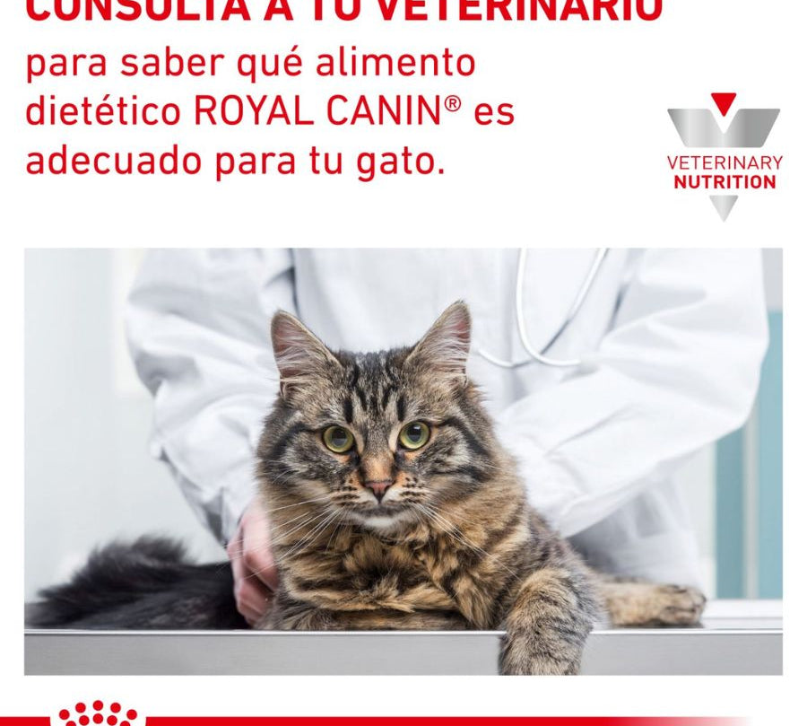 Royal Canin Hypoallergenic Gato 1,5Kg, alimento dietético para gatos con alergias. Promueve la salud cutánea y digestiva.