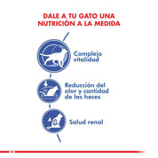 Royal Canin Indoor 7+: Alimento seco para gatos mayores de 7 años que viven en interiores. Enriquecido para un envejecimiento saludable, reduce olores y cantidad de heces, y mantiene la salud renal y urinaria.
