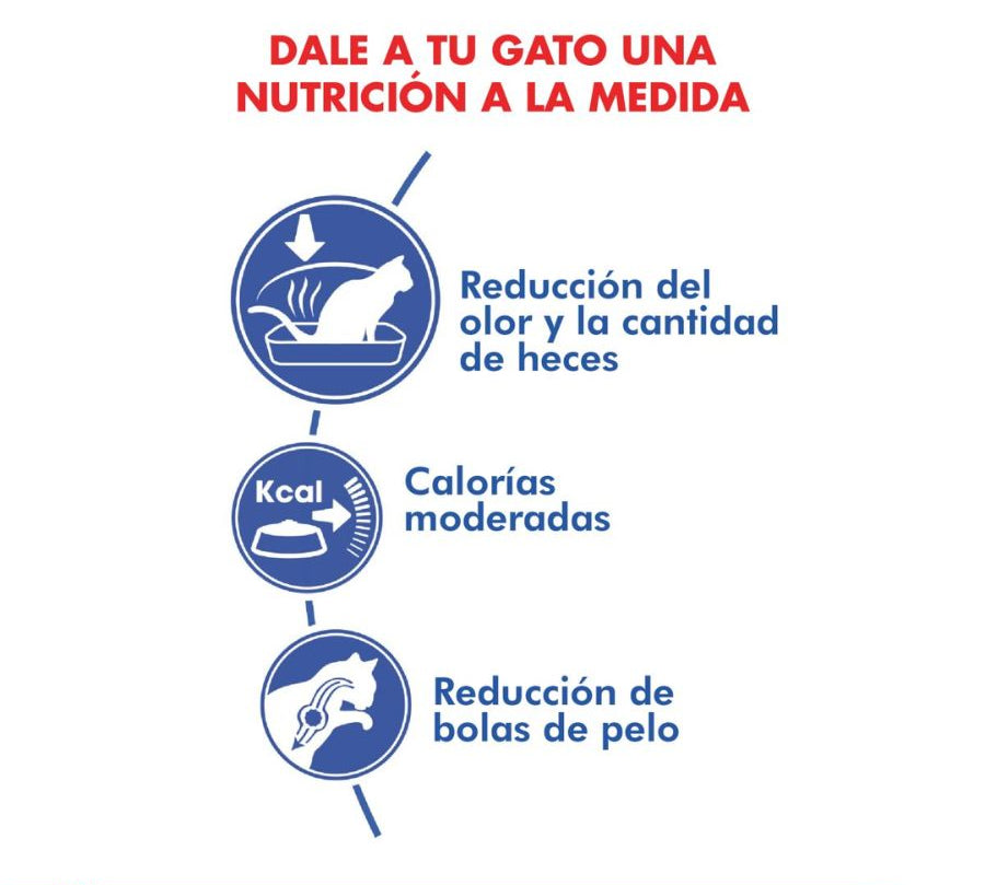 Royal Canin Indoor Feline: Alimento seco para gatos adultos de interior. Reduce olores y cantidad de heces, controla peso y bolas de pelo. Alta digestibilidad y nutrientes balanceados. 🐱🏠🐾