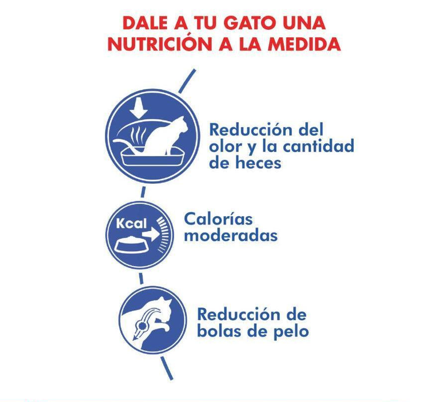 Royal Canin Indoor Feline: Alimento seco para gatos adultos de interior. Reduce olores y cantidad de heces, controla peso y bolas de pelo. Alta digestibilidad y nutrientes balanceados. 🐱🏠🐾