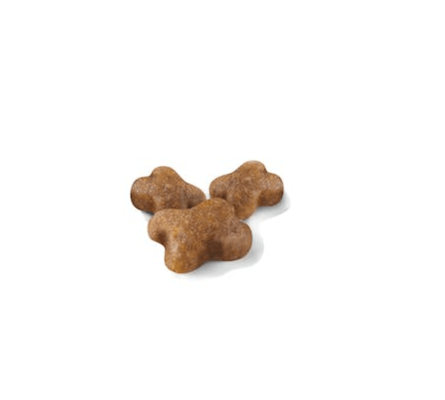 Royal Canin Kitten: Alimento para gatitos de 4 a 12 meses. Fortalece el sistema inmunológico, apoya el desarrollo cerebral y mantiene un microbioma intestinal saludable. 🐱🍲🐾