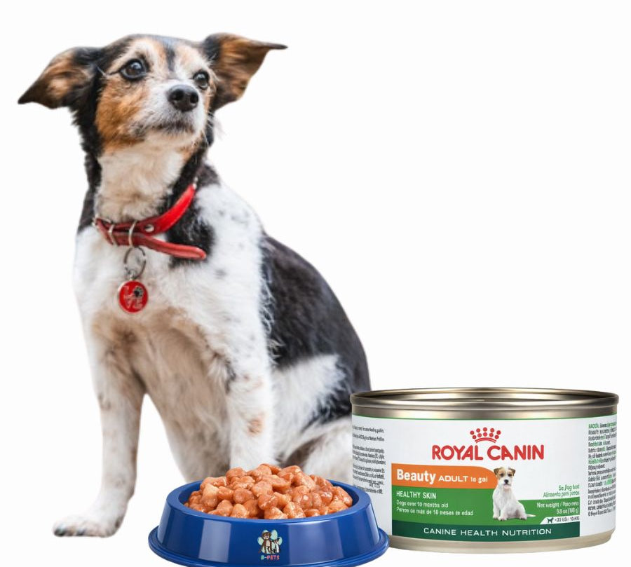 Royal Canin Lata Beauty para perros 150gr: Salud de piel y pelaje, enriquecido con ácidos grasos y complejo skin barrier.