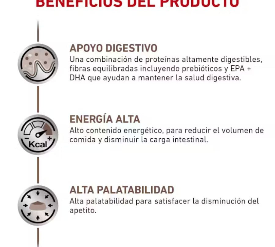 Royal Canin Lata Gastrointestinal 145Gr 🐱 es un alimento húmedo para gatos con sensibilidad digestiva, con alta energía y prebióticos para una mejor digestión.