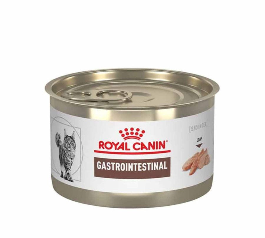 Royal Canin Lata Gastrointestinal 145Gr 🐱 es un alimento húmedo para gatos con sensibilidad digestiva, con alta energía y prebióticos para una mejor digestión.