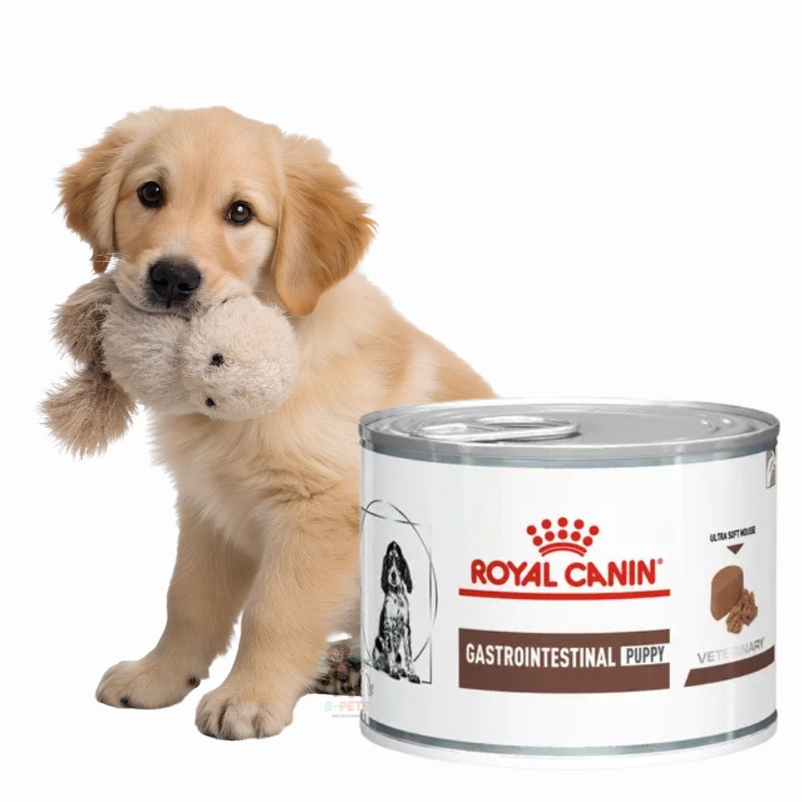 Royal Canin Lata Gastrointestinal Puppy 195g alimento húmedo digestible y energético para cachorros con sensibilidad gastrointestinal. Textura suave y alta palatabilidad.