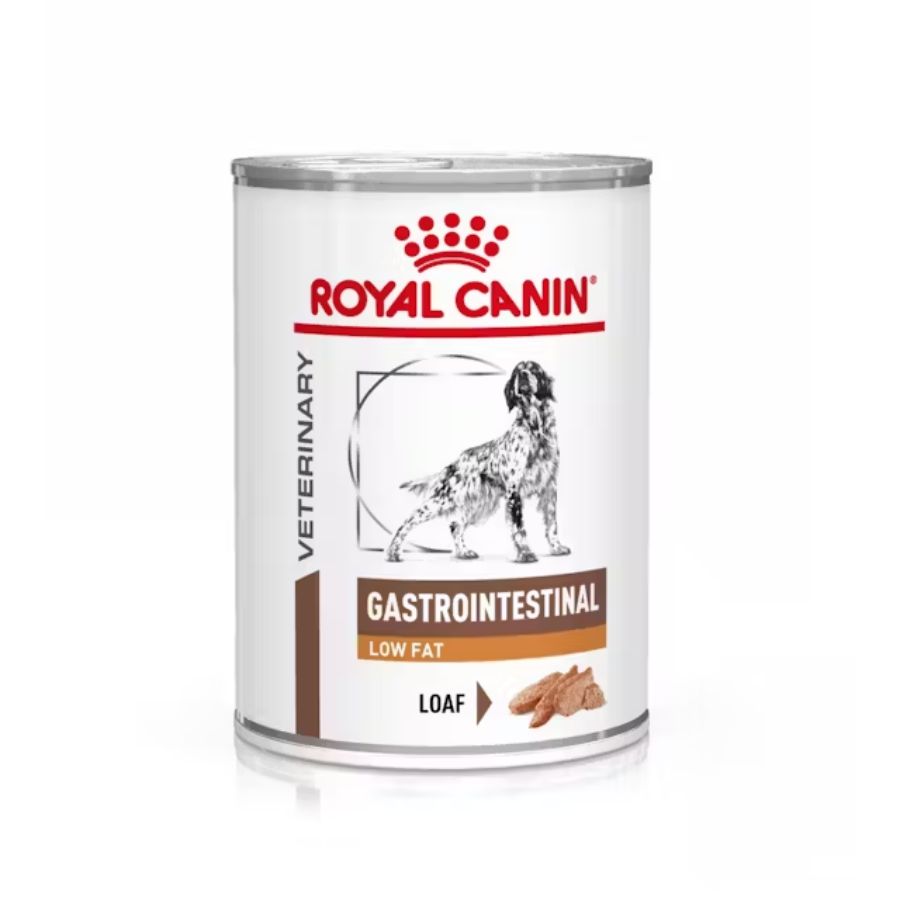 Royal Canin Gastrointestinal Low Fat 420Gr 🐶, soporte digestivo especializado para perros con sensibilidad intestinal. Bajo en grasa y altamente digestible.