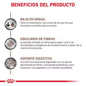 Royal Canin Gastrointestinal Low Fat 420Gr 🐶, soporte digestivo especializado para perros con sensibilidad intestinal. Bajo en grasa y altamente digestible.