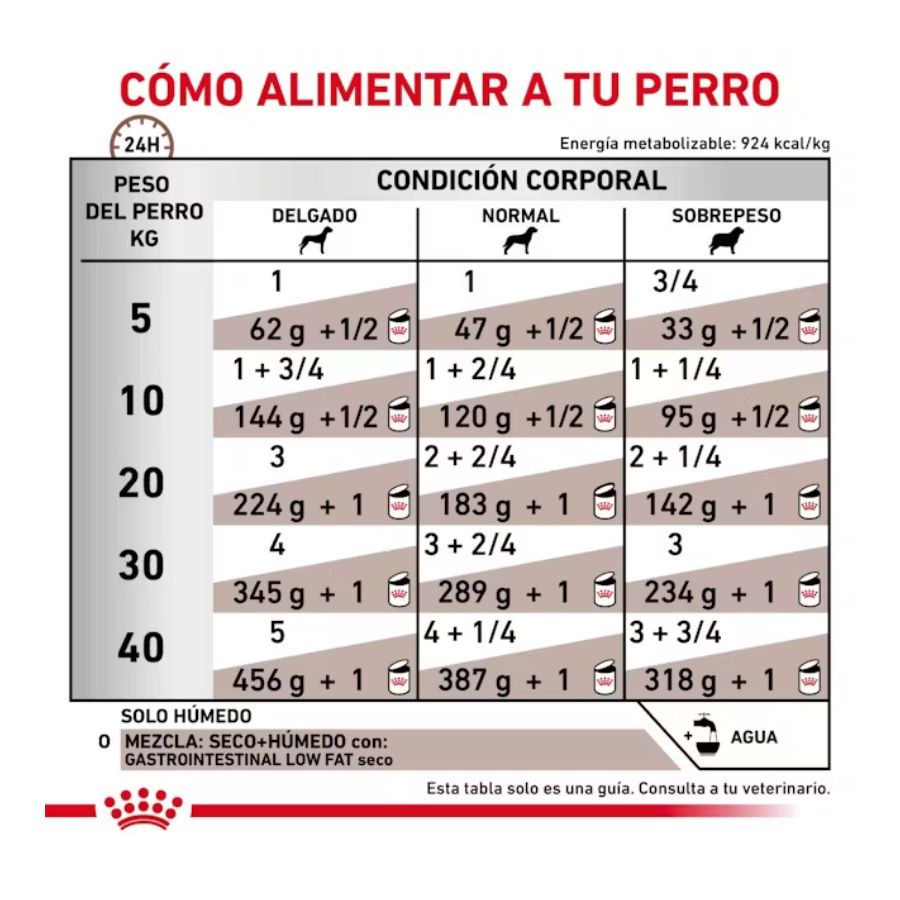 Royal Canin Gastrointestinal Low Fat 420Gr 🐶, soporte digestivo especializado para perros con sensibilidad intestinal. Bajo en grasa y altamente digestible.