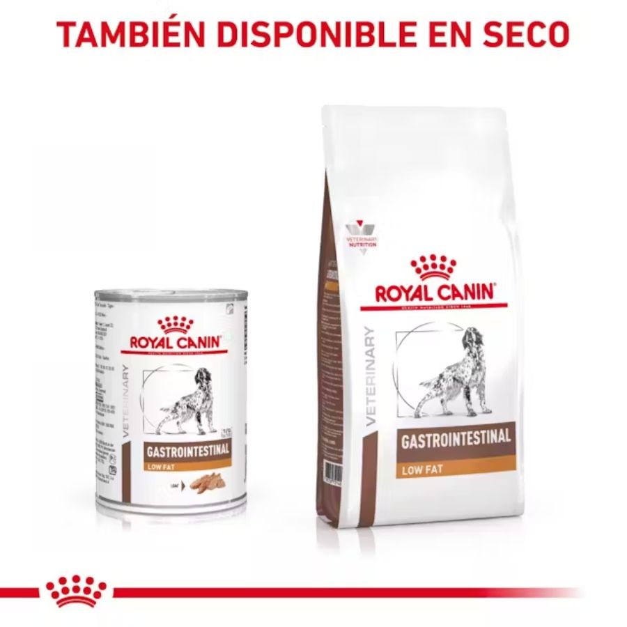 Royal Canin Gastrointestinal Low Fat 420Gr 🐶, soporte digestivo especializado para perros con sensibilidad intestinal. Bajo en grasa y altamente digestible.