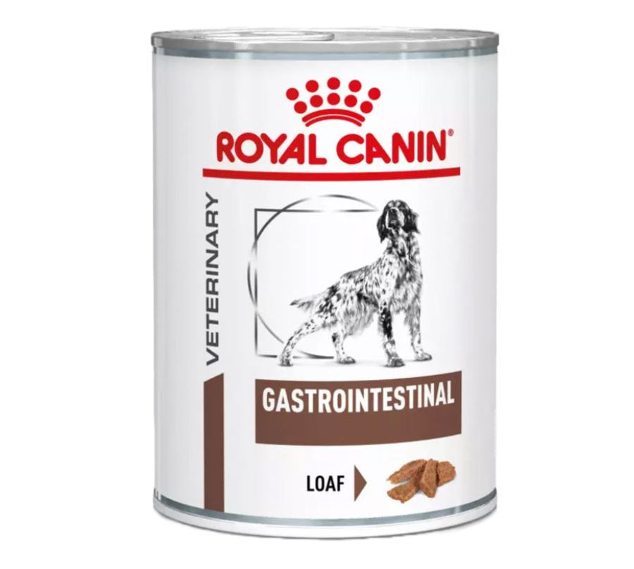 Royal Canin Lata Gastrointestinal Perro 385Gr 🐶, alimento húmedo de alta digestibilidad, ideal para perros con sensibilidad digestiva o en recuperación.
