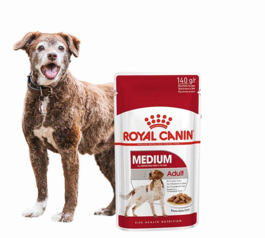 Royal Canin Medium Adult Pouch: Alimento húmedo para perros adultos de raza mediana. Ofrece energía adaptada, apoya la salud digestiva y del pelaje, y refuerza las defensas naturales.
