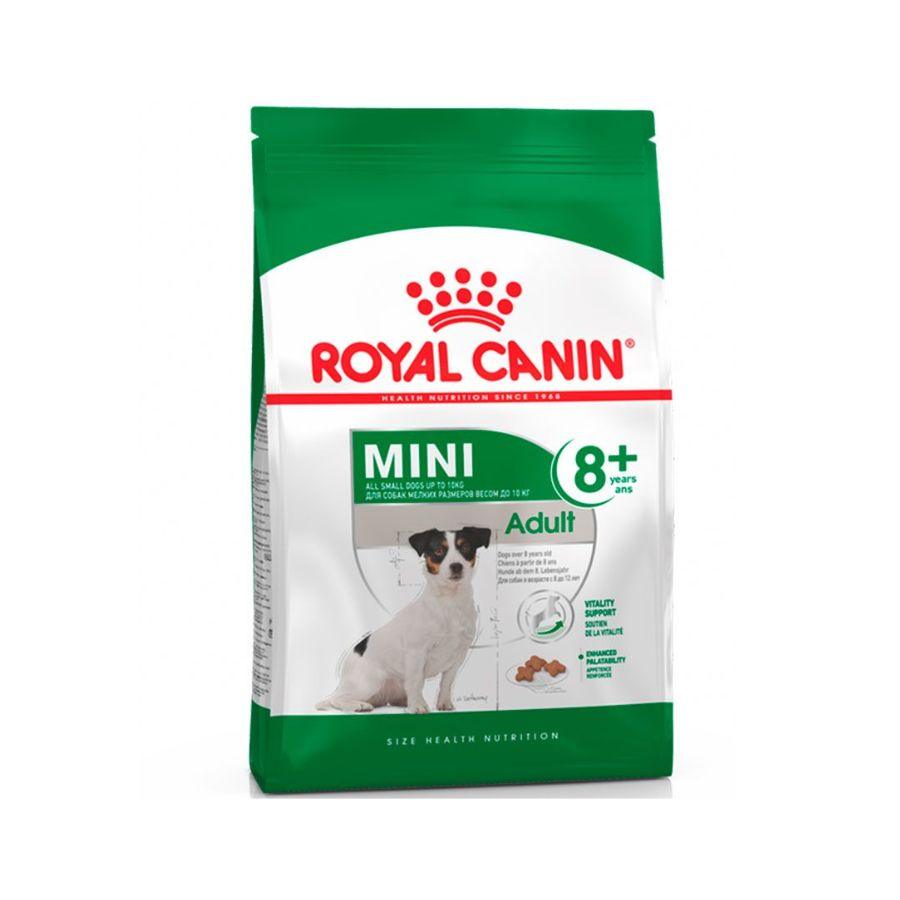 Royal Canin Mini Adulto 8+ 3kg 🐕, nutrición avanzada para perros pequeños. Combate el envejecimiento, refuerza la vitalidad y mantiene el peso ideal.