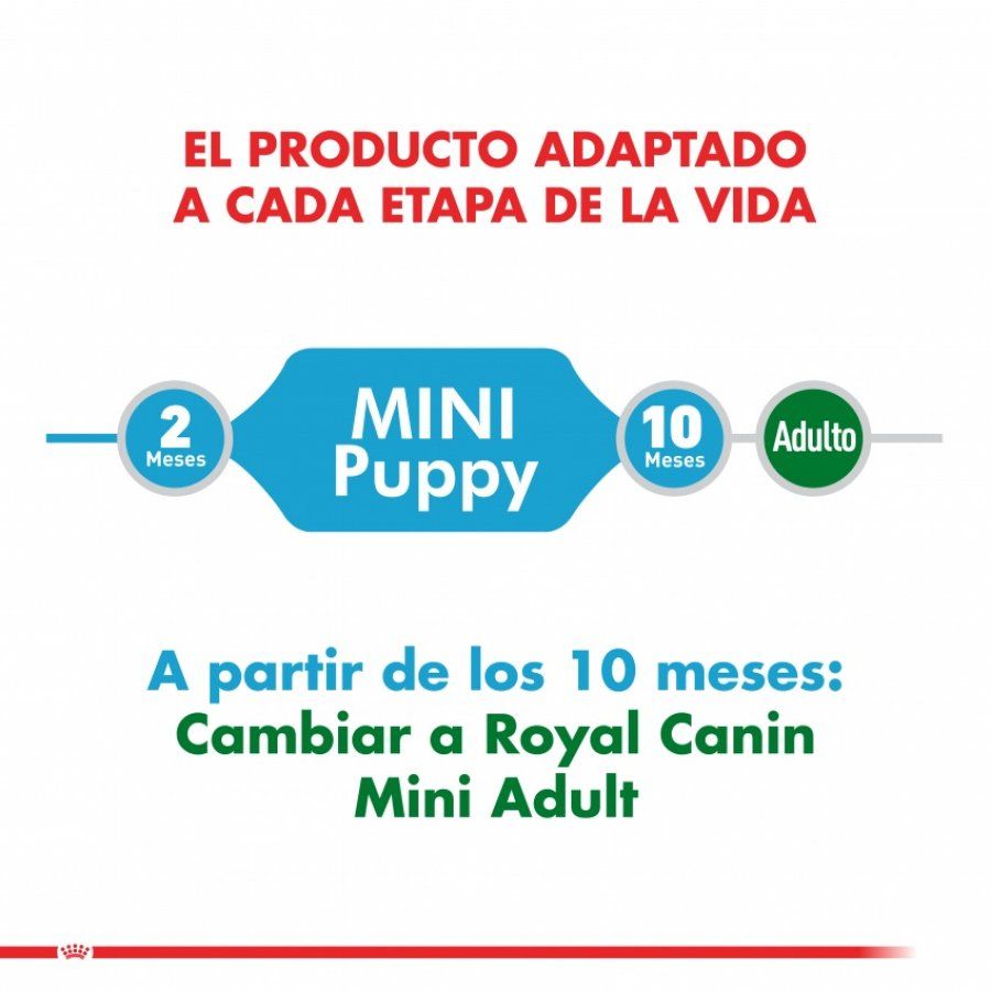 Royal Canin Mini Puppy 1Kg: Alimento para cachorros de razas pequeñas hasta 10 meses. Apoya el desarrollo muscular y óseo, alta palatabilidad, digestión óptima, soporte inmunológico y salud dental.