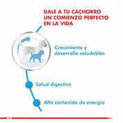 Royal Canin Mini Puppy 1Kg: Alimento para cachorros de razas pequeñas hasta 10 meses. Apoya el desarrollo muscular y óseo, alta palatabilidad, digestión óptima, soporte inmunológico y salud dental.