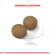 Royal Canin Adulto Maxi 12Kg para perros grandes adultos. Mejora la digestión, protege las articulaciones y mantiene el corazón sano con Omega 3 y taurina.
