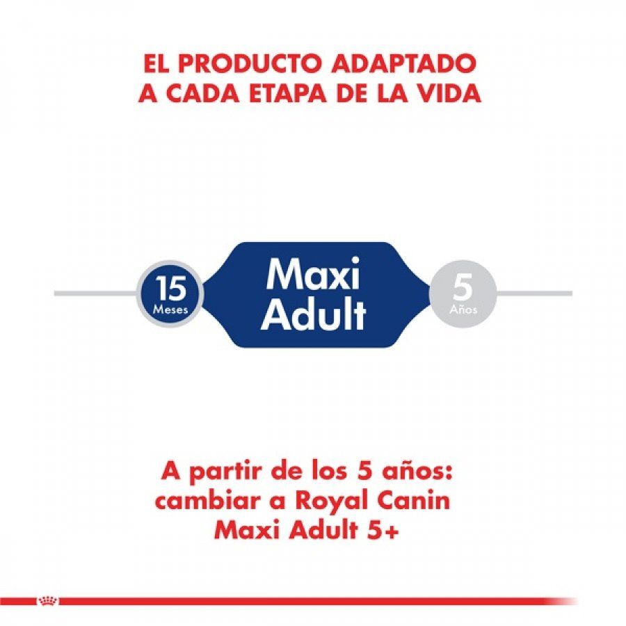 Royal Canin Adulto Maxi 12Kg para perros grandes adultos. Mejora la digestión, protege las articulaciones y mantiene el corazón sano con Omega 3 y taurina.