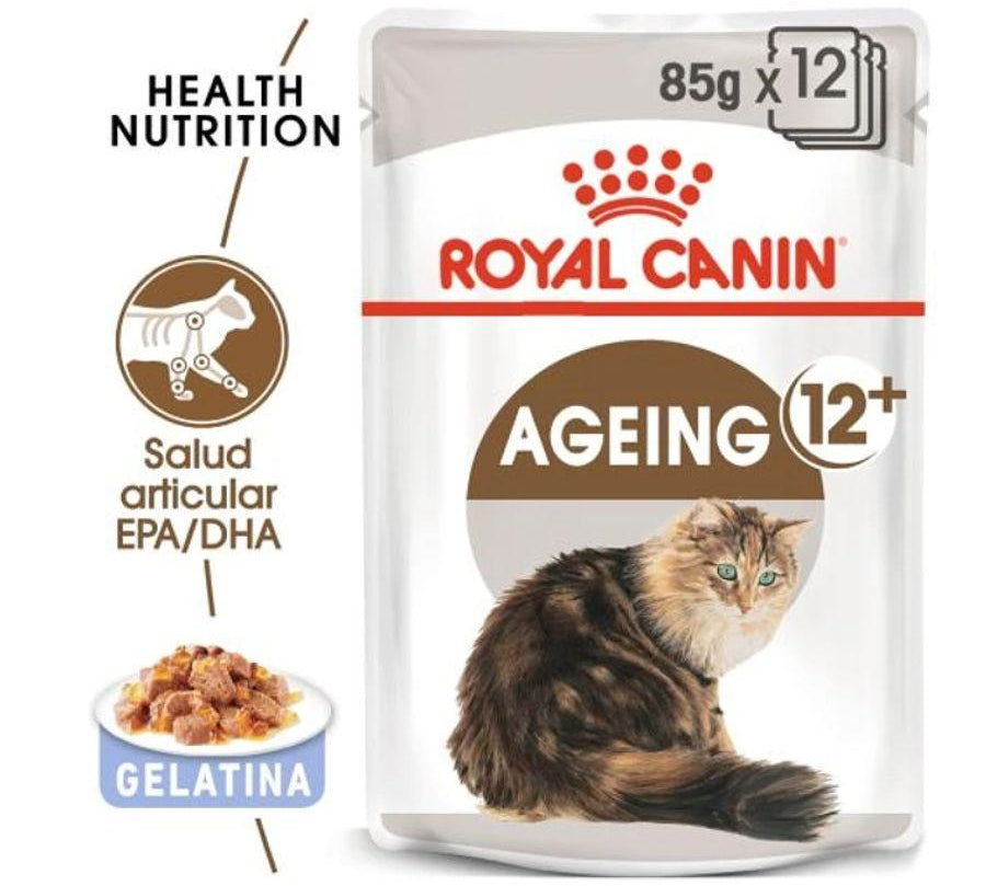 DHA para salud articular y fósforo adaptado para la función renal. Nutrición completa y equilibrada. 🐱🍲