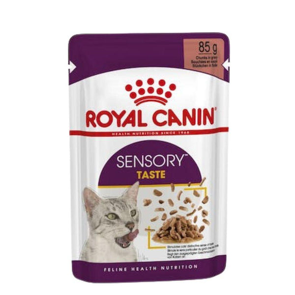 Royal Canin Pouch Sensory Taste: Alimento húmedo para gatos adultos, diseñado para estimular sentidos gustativos y olfativos. Apoya la salud urinaria y es altamente palatable.