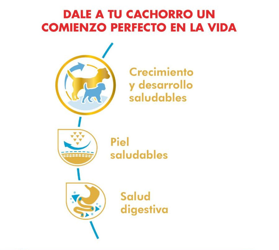 Royal Canin Pug Puppy 2.5 Kg: alimento completo para cachorros Pug, con croquetas especiales para su hocico, apoyando su salud digestiva y piel.🐕✨