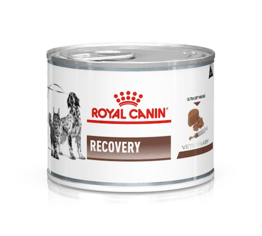 Royal Canin Recovery 🐶🐱, energía y nutrientes concentrados para la recuperación de mascotas. Facilita administración por sonda, reducción inflamación y pelaje saludables.