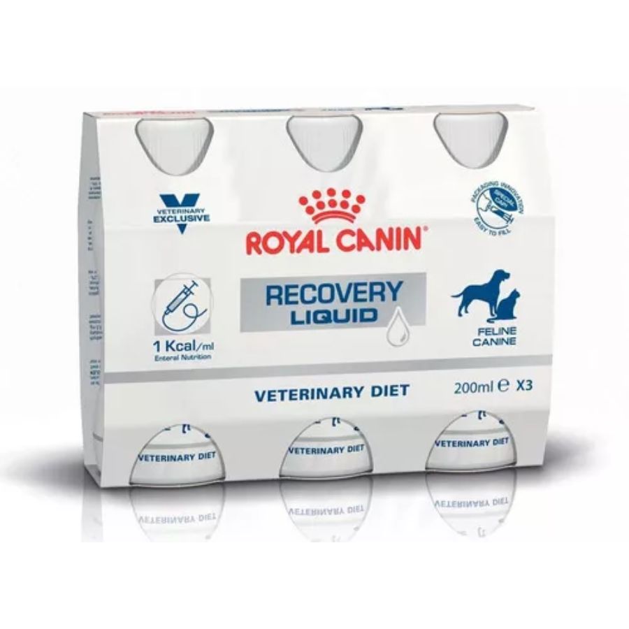 Royal Canin Recovery Liquid 🐶🐱 es una dieta líquida completa y altamente digestible para perros y gatos en recuperación. Con alta proteína y energía adaptada.