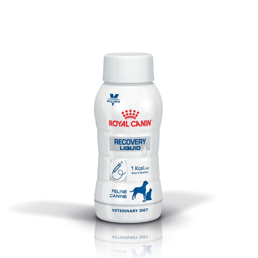 Royal Canin Recovery Liquid 🐶🐱 es una dieta líquida completa y altamente digestible para perros y gatos en recuperación. Con alta proteína y energía adaptada.