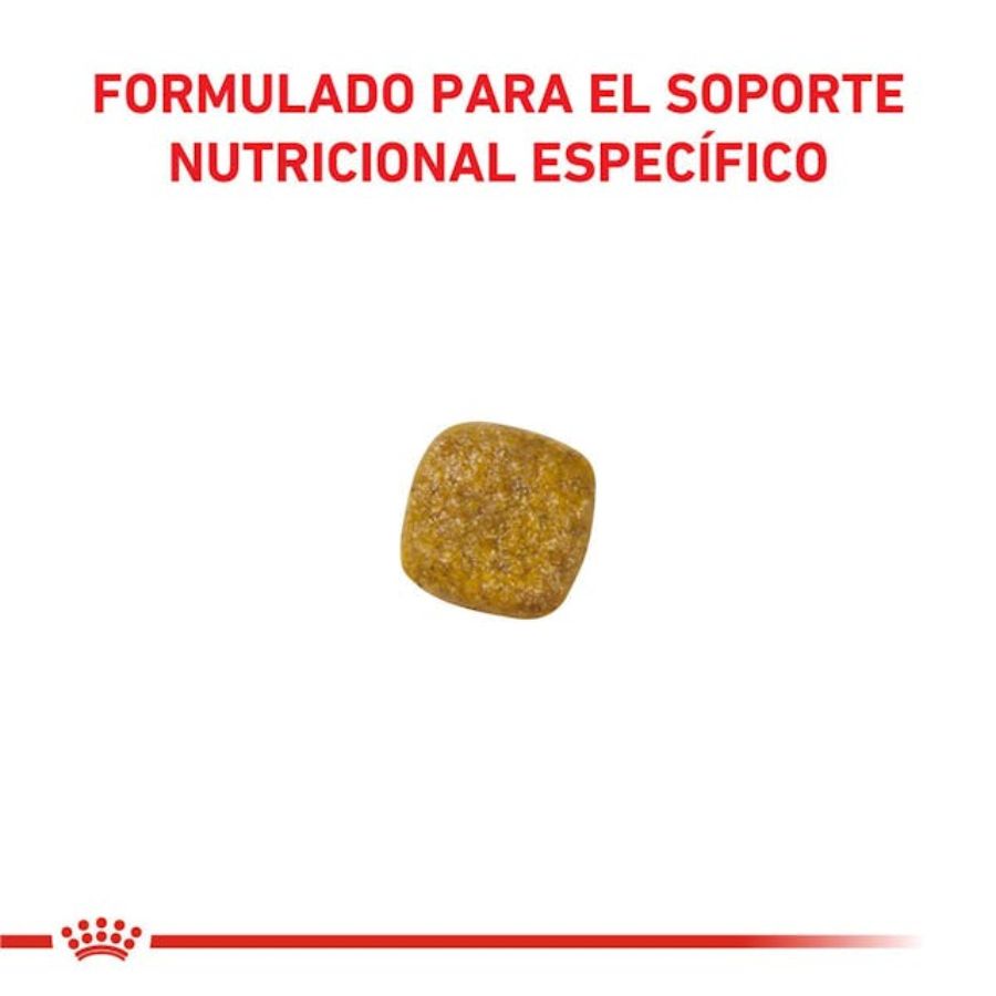 Royal Canin Renal Perro 10Kg 🌿🐾: alimenta y cuida la salud renal de tu mascota con este producto especializado. Bajo en fósforo y rico en nutrientes esenciales. Ideal para caninos con insuficiencia renal crónica. ¡Optimiza la dieta de tu perro hoy!