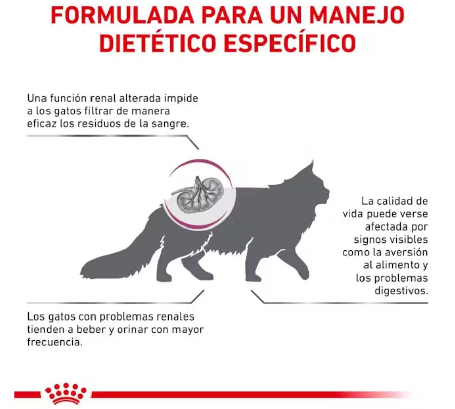 Royal Canin Renal Special Gato 2Kg 🐱, ideal para gatos con insuficiencia renal. Estimula el apetito, protege la función renal y mejora su calidad de vida.