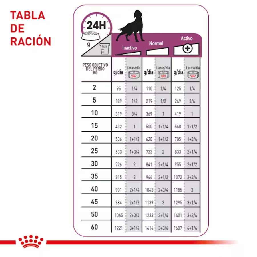 Royal Canin Renal Support Perro Lata 🐶 es un alimento húmedo con bajo fósforo y proteínas seleccionadas, ideal para perros con insuficiencia renal crónica.