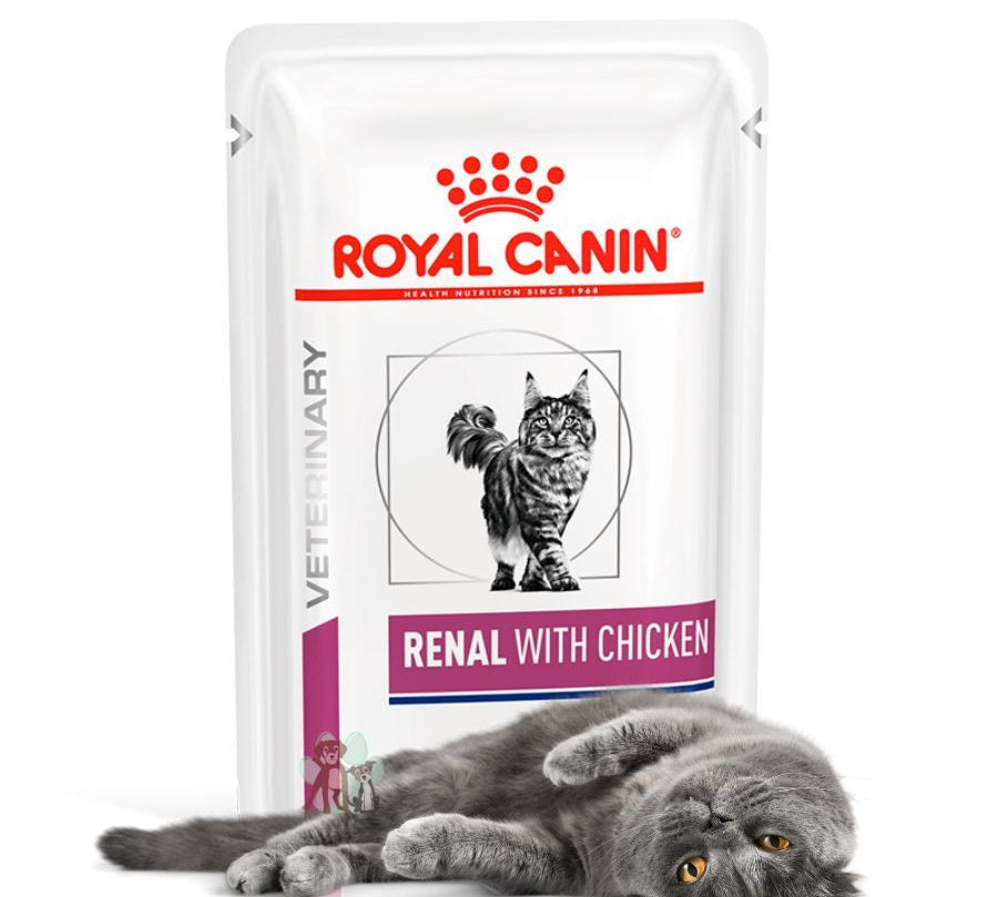 Royal Canin Renal con Pollo Pouch, ideal para gatos con insuficiencia renal. Baja carga renal, alta digestibilidad y sabor irresistible.