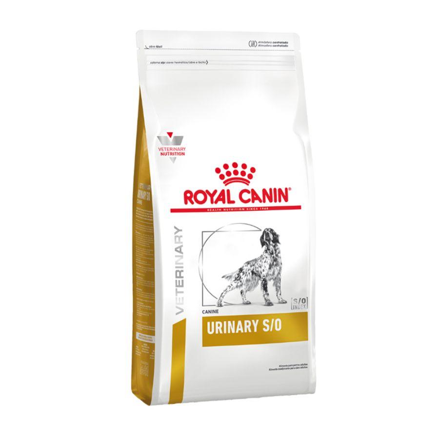 Royal Canin Urinary S/O Canine 7.5kg disuelve cálculos de estruvita y previene su reaparición. Mantén la salud urinaria con una fórmula acidificante y bajo magnesio.
