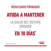 Royal Canin Gato Urinary Care Pouch 85g, alimento húmedo que promueve un tracto urinario saludable. Textura en salsa, alta palatabilidad y eficacia comprobada.