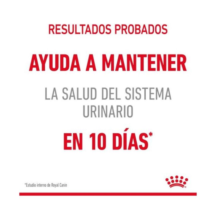 Royal Canin Gato Urinary Care Pouch 85g, alimento húmedo que promueve un tracto urinario saludable. Textura en salsa, alta palatabilidad y eficacia comprobada.