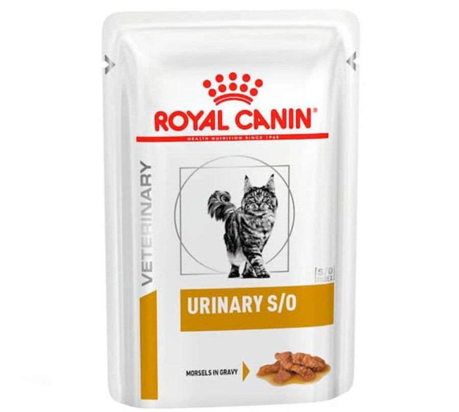 O Pouch 🐱💧, alimento húmedo para gatos con problemas urinarios. Disuelve cálculos de estruvita y reduce formación de cristales.