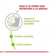 Royal Canin X-Small Adulto 12+ 1KG: Alimento especial para perros de razas muy pequeñas mayores de 12 años. Apoya la vitalidad en la vejez, salud intestinal, cardiaca y dental. 🐶🍲🐾