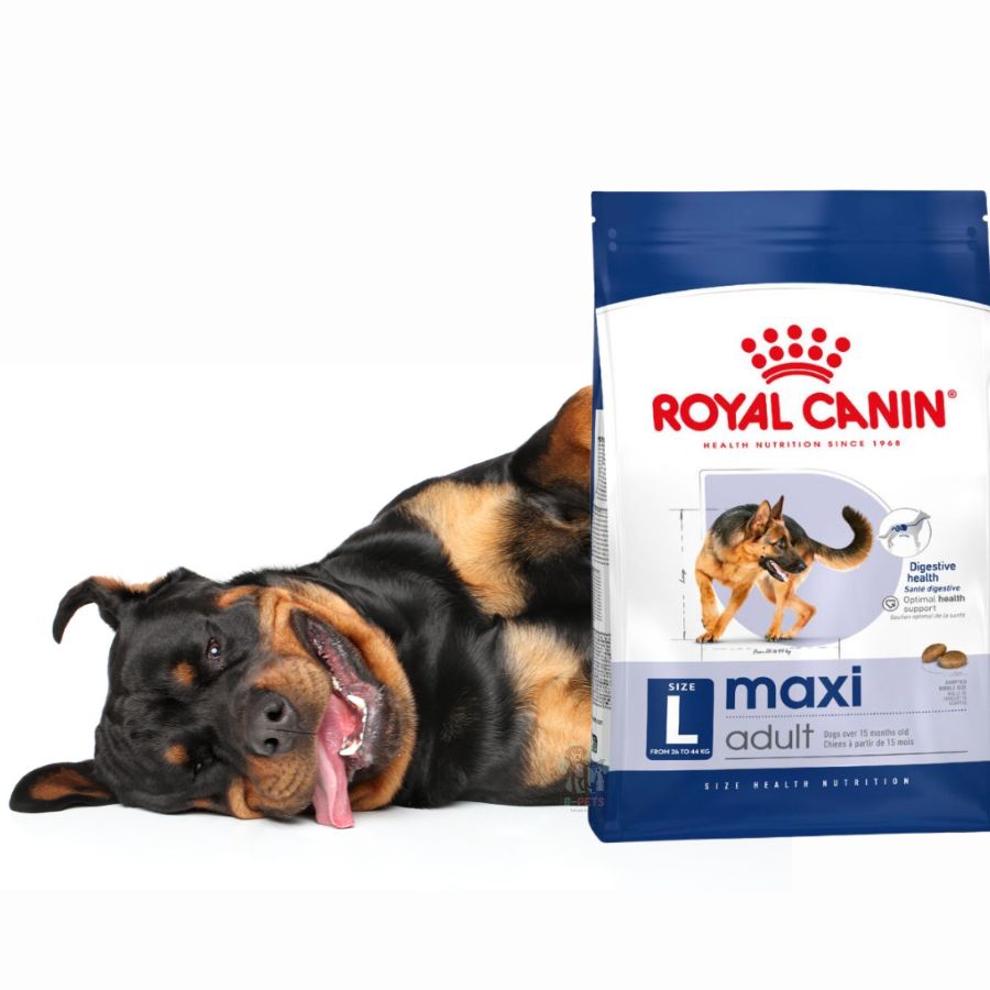 Royal Canin Adulto Maxi 12Kg para perros grandes adultos. Mejora la digestión, protege las articulaciones y mantiene el corazón sano con Omega 3 y taurina.