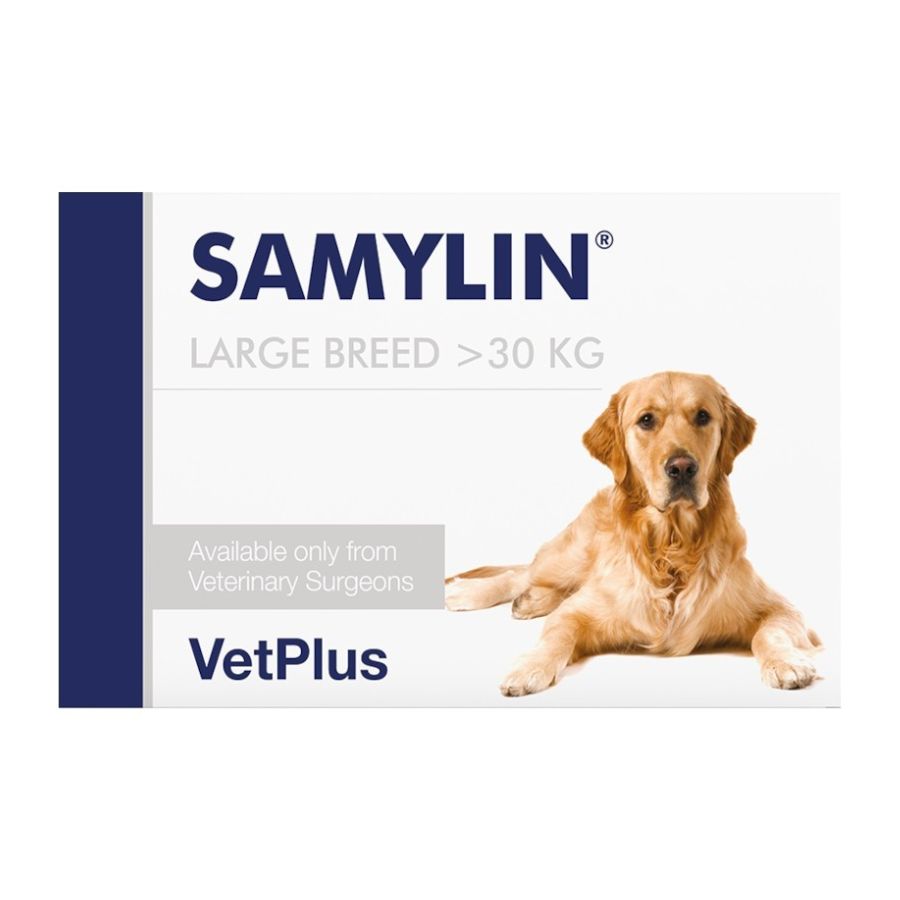 Caja de Samylin Razas Grandes de VetPlus, suplemento hepático para perros sobre 30 kg, vista frontal