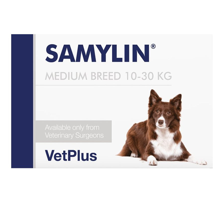 Samylin Perro Razas Medianas, protector hepático con SAMe, silibina y antioxidantes. Ideal para perros de 10 a 30 kg con necesidades hepáticas especiales. B-Pets