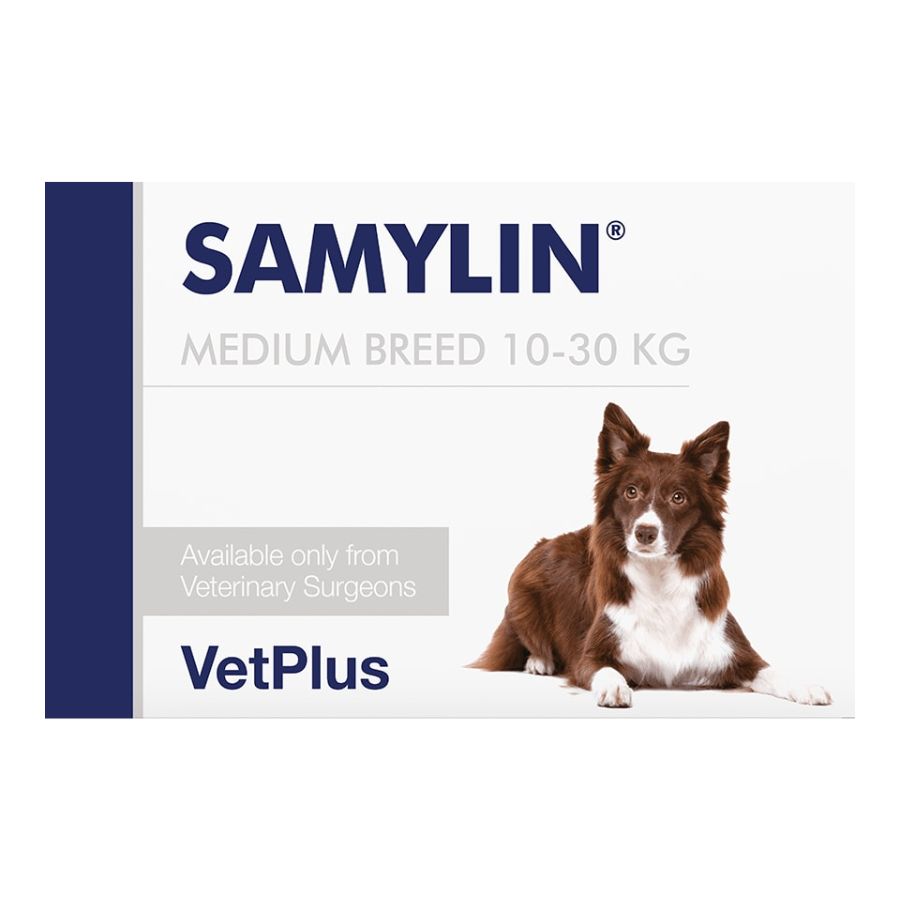 Caja de Samylin Razas Medianas de VetPlus, suplemento hepático para perros de 10 a 30 kg, vista frontal